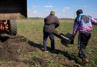 После того как саперы исследуют обнаруженные снаряды и констатируют их безопасность, фермеры убирают эти следы боевых действий с полей, чтобы сельхозтехника могла начать работу